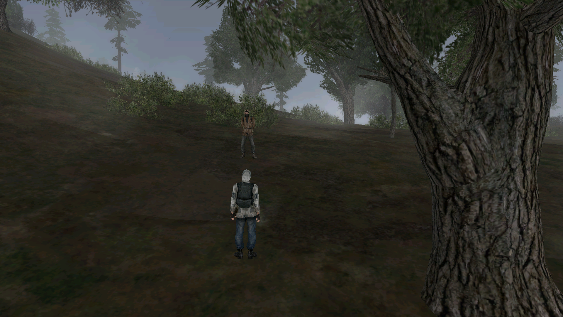 Файлы не были найдены на сервере. Альбом удален.