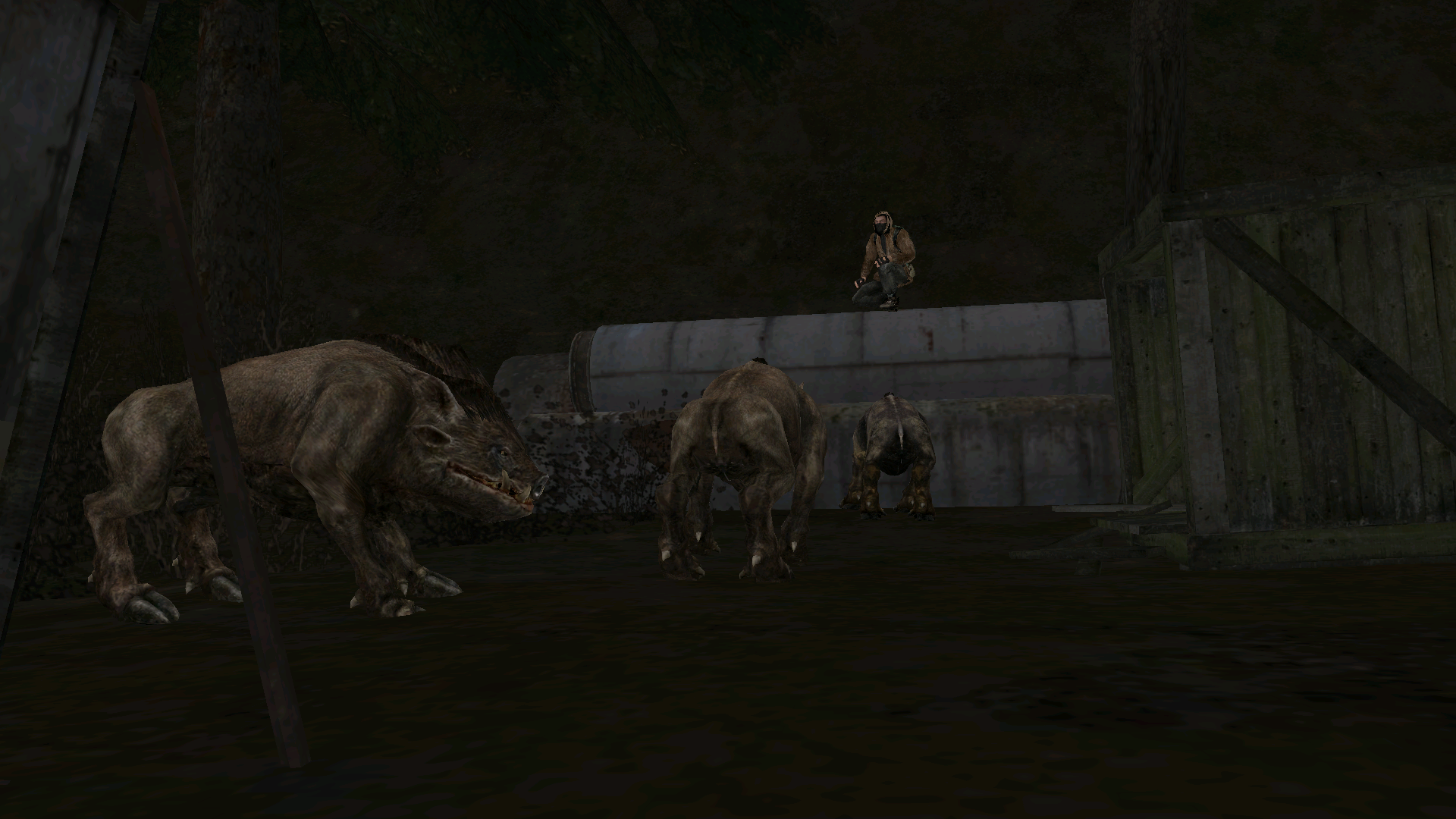 Обновите страницу