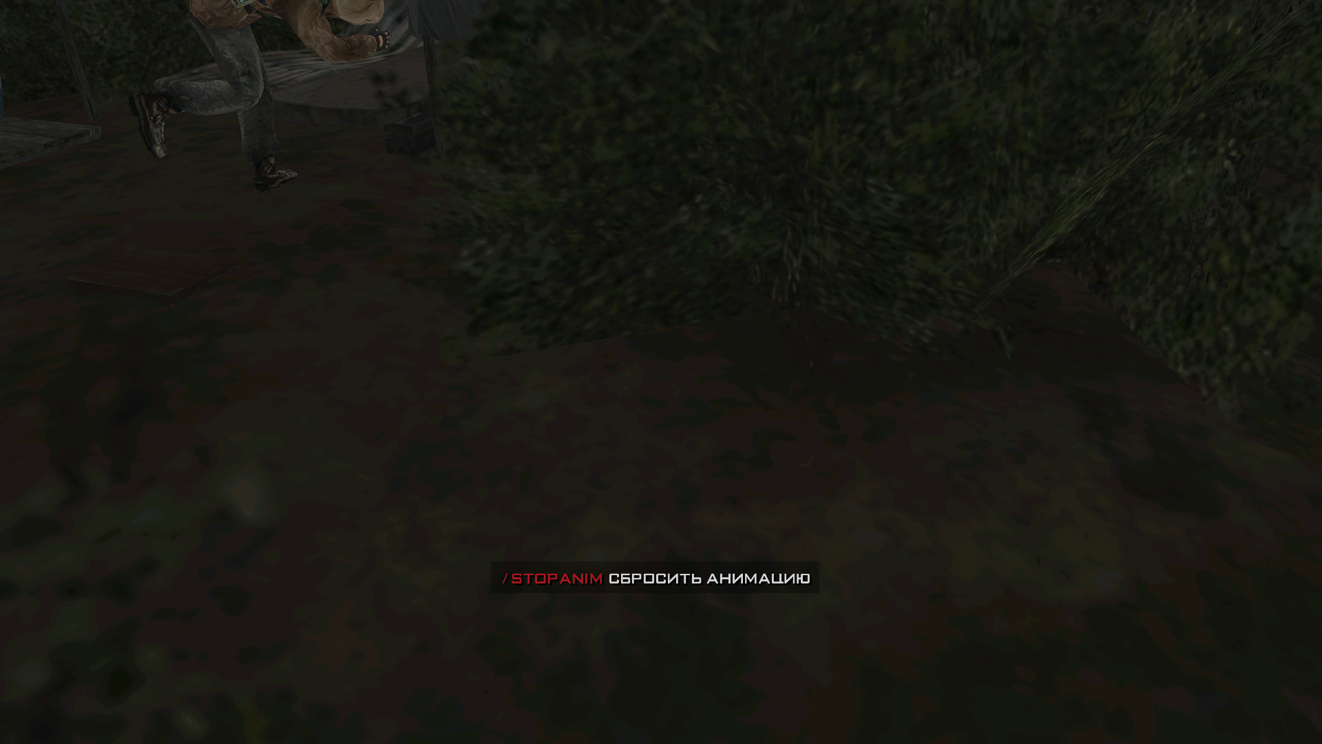 Файлы не были найдены на сервере. Альбом удален.